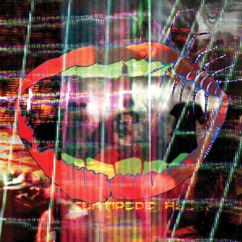 ANIMAL COLLECTIVE - CENTIPEDE HZ Vinyl LP