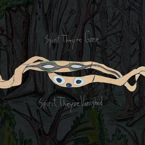 ANIMAL COLLECTIVE - SPIRIT THEY'RE GONE SPIRIT THEY'VE VANISHED Vinyl LP