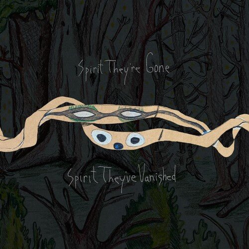ANIMAL COLLECTIVE - SPIRIT THEY'RE GONE SPIRIT THEY'VE VANISHED Vinyl LP