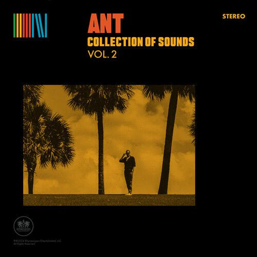 ANT - COLLECTION OF SOUNDS VOL. 2 - YELLOW Vinyl LP - Image 2