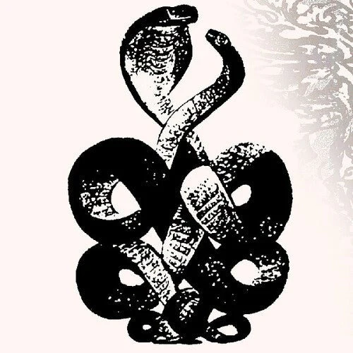 BARDO POND - VOLUME 4 & 5 Vinyl LP