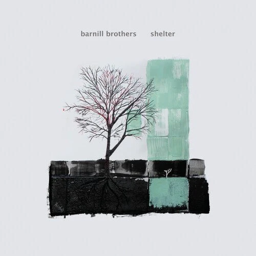 BARNILL BROTHERS - SHELTER Vinyl LP