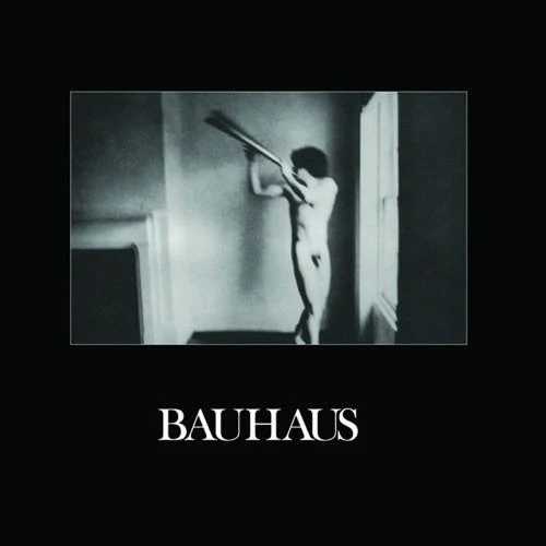 BAUHAUS - IN THE FLAT FIELD Vinyl LP