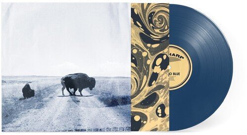 BIG HARP - RUNS TO BLUE Vinyl LP