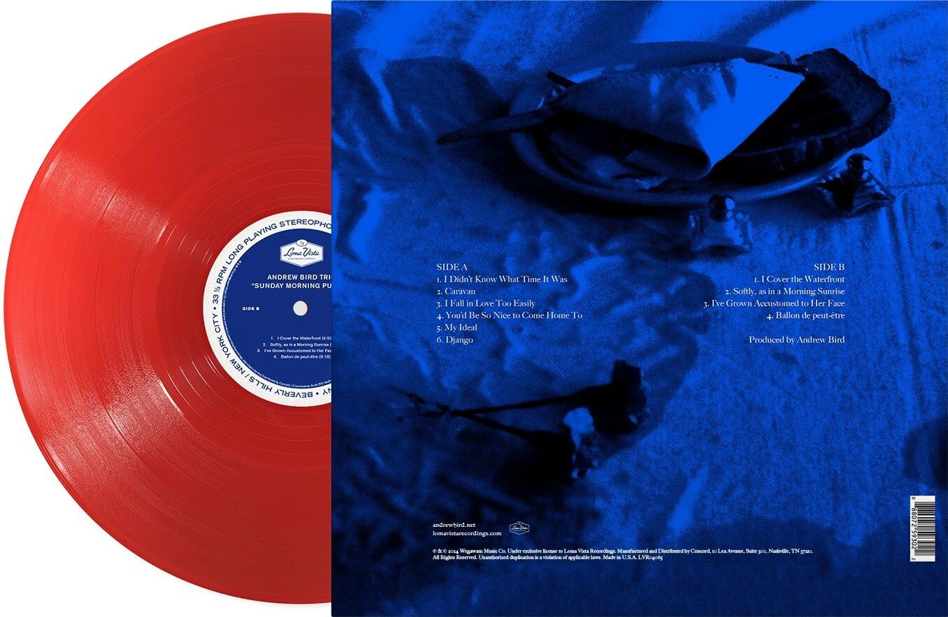 BIRD,ANDREW - SUNDAY MORNING PUT-ON Vinyl LP - Image 2