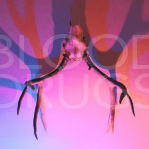 BLOOD DRUGS Vinyl LP