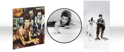 BOWIE,DAVID - DIAMOND DOGS (50TH ANNIVERSARY PICTURE DISC) Vinyl LP