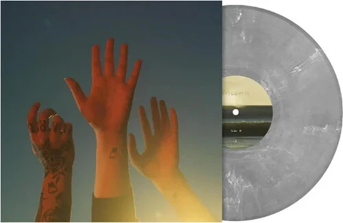 BOYGENIUS - RECORD Vinyl LP