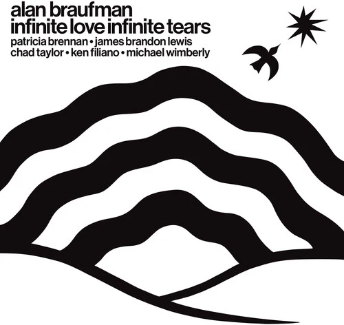 BRAUFMAN,ALAN - INFINITE LOVE INFINITE TEARS Vinyl LP