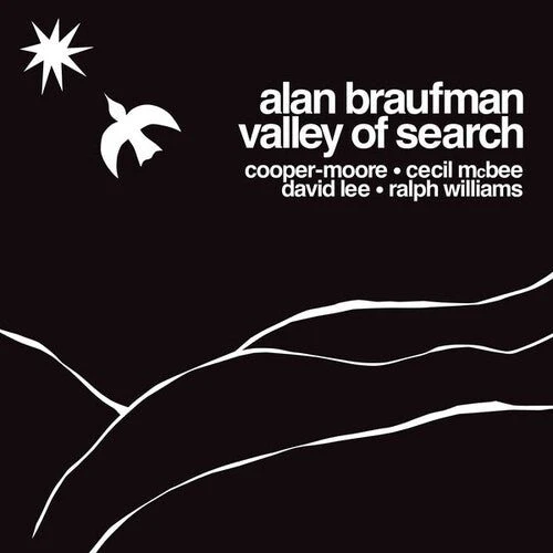 BRAUFMAN,ALAN - VALLEY OF SEARCH Vinyl LP