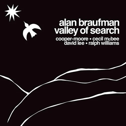 BRAUFMAN,ALAN - VALLEY OF SEARCH - WHITE Vinyl LP