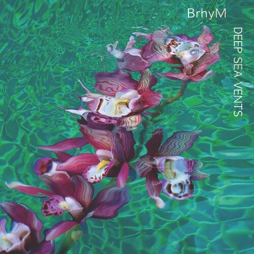 BRHYM - DEEP SEA VENTS Vinyl LP - Image 2