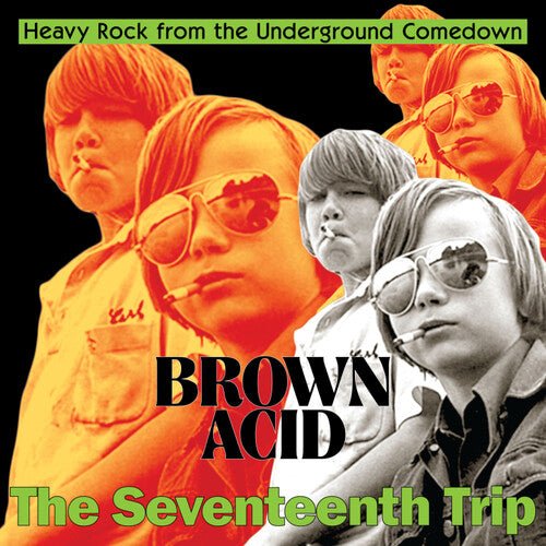 BROWN ACID - THE SEVENTEENTH TRIP / VARIOUS Vinyl LP
