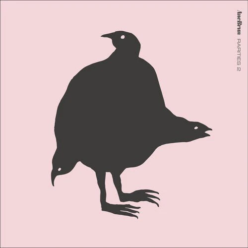 BRUN,ANE - RARITIES 2 Vinyl LP - Image 2