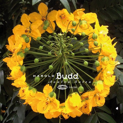 BUDD,HAROLD - AVALON SUTRA Vinyl LP