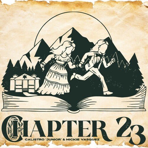 CHAPTER 23 Vinyl LP