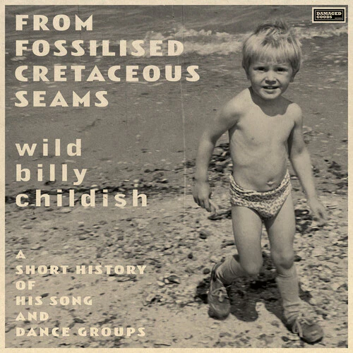 CHILDISH,BILLY - FROM FOSSILISED CRETACEOUS SEAMS: A SHORT HISTORY Vinyl LP