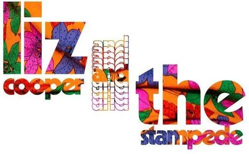 COOPER,LIZ & THE STAMPEDE - WINDOW FLOWERS Vinyl LP