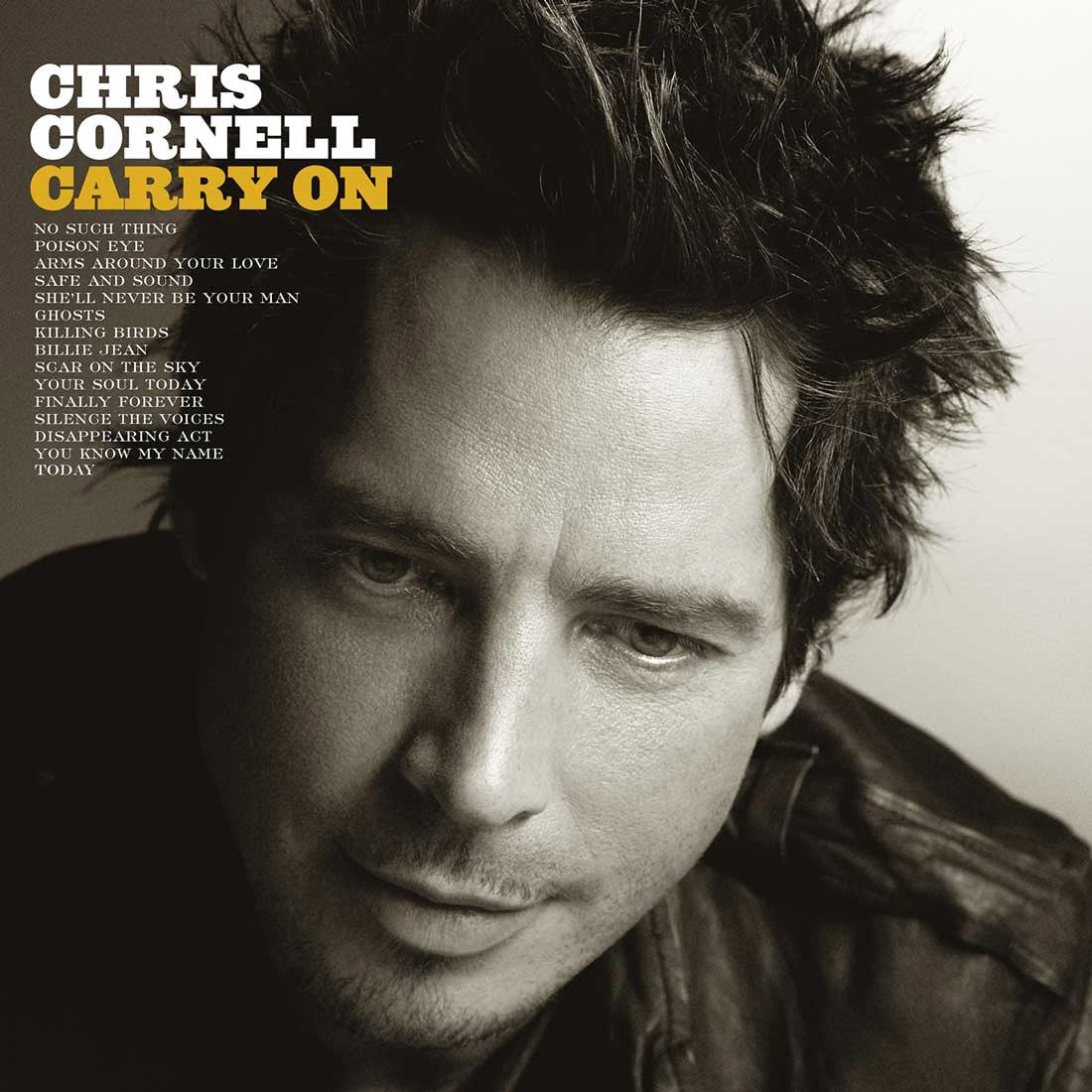 CORNELL,CHRIS - CARRY ON Vinyl LP - Image 2