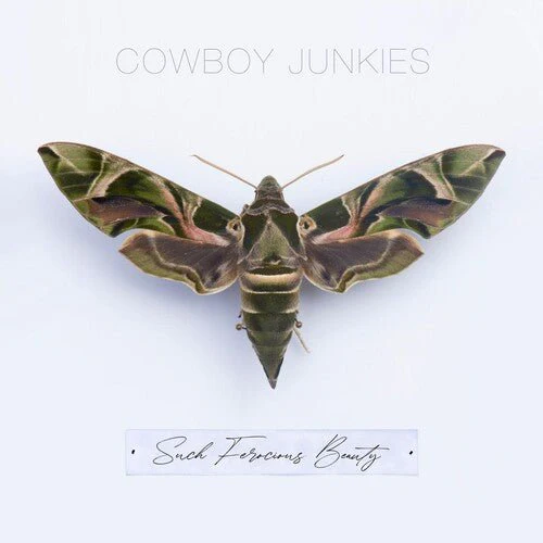 COWBOY JUNKIES - SUCH FEROCIOUS BEAUTY Vinyl LP