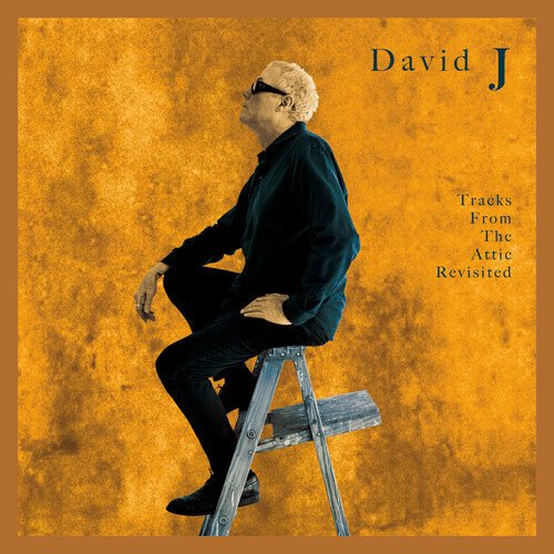 DAVID J - TRACKS FROM THE ATTIC REVISITED Vinyl LP