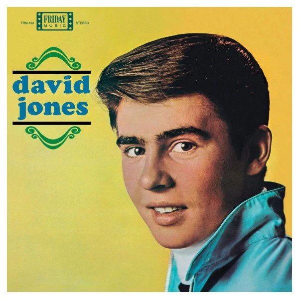 DAVY JONES - DAVID JONES Vinyl LP - Image 2