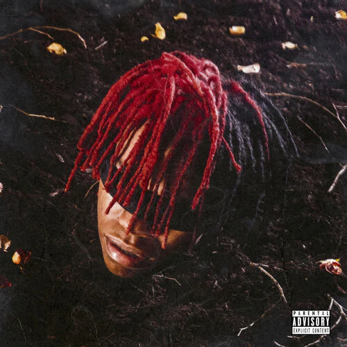 DC THE DON - FUNERAL Vinyl LP