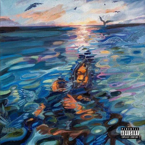 DEEM,SPENCER - ADULTSWM - NAVY Vinyl LP
