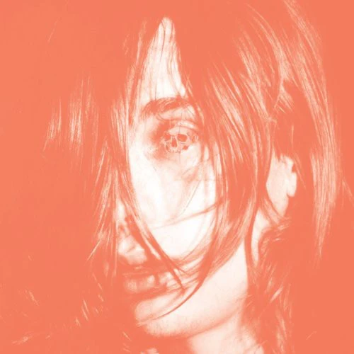 DEERHUNTER - MICROCASTLE Vinyl LP