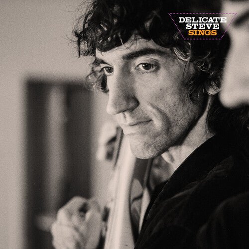 DELICATE STEVE - DELICATE STEVE SINGS Vinyl LP