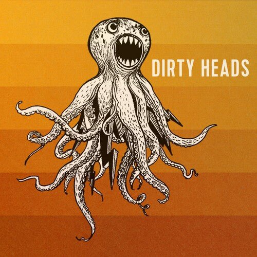 DIRTY HEADS Vinyl LP - Image 2