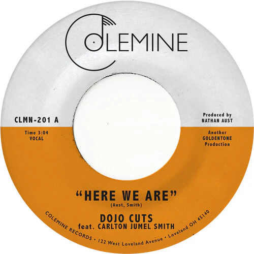 DOJO CUTS - HERE WE ARE (COKE BOTTLE CLEAR) Vinyl LP