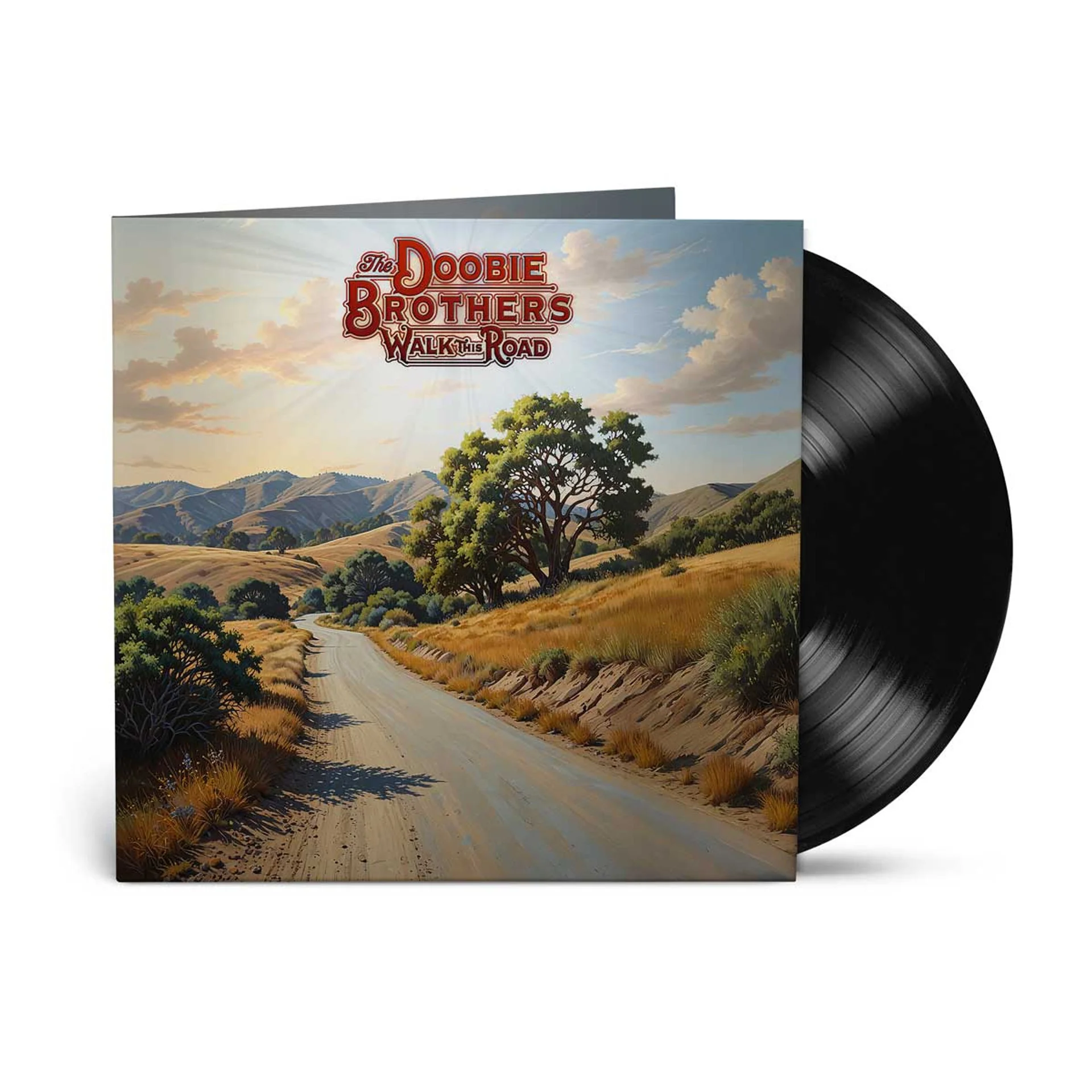 DOOBIE BROTHERS - WALK THIS ROAD Vinyl LP - Image 2