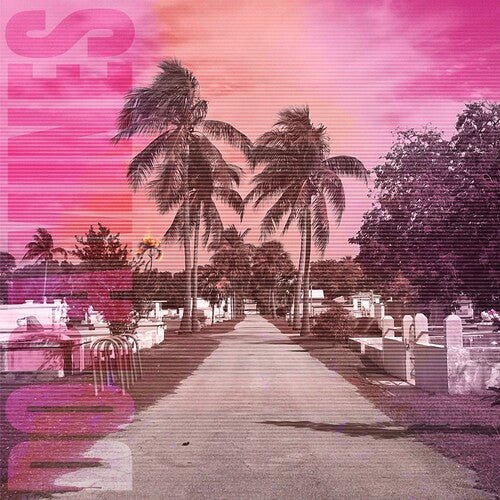DOPAMINES - 80/20 Vinyl LP