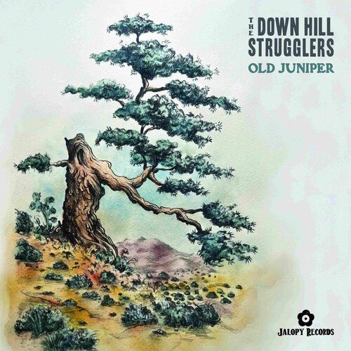 DOWN HILL STRUGGLERS - OLD JUNIPER Vinyl LP
