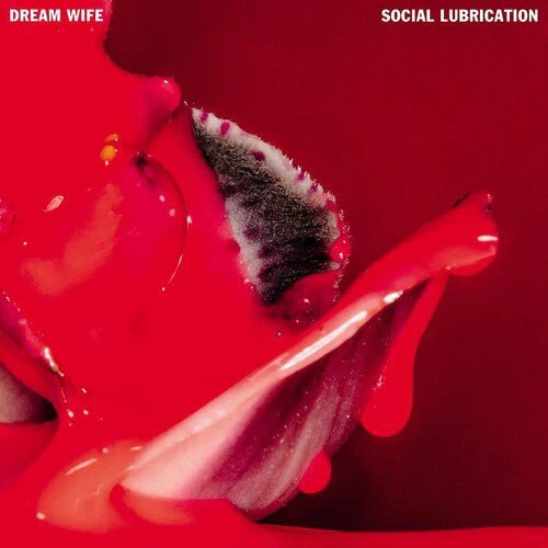 DREAM WIFE - SOCIAL LUBRICATION Vinyl LP - Image 2