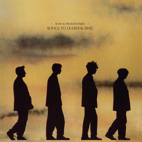 Echo & the Bunnymen - Songs to Learn & Sing Yellow & Black Marble Vinyl LP - Image 2