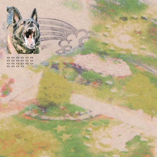 FEEBLE LITTLE HORSE - GIRL WITH FISH Vinyl LP