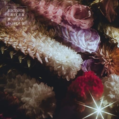 FIN DEL MUNDO - HICIMOS CRECER UN BOSQUE Vinyl LP