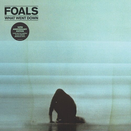 FOALS - WHAT WENT DOWN Vinyl LP