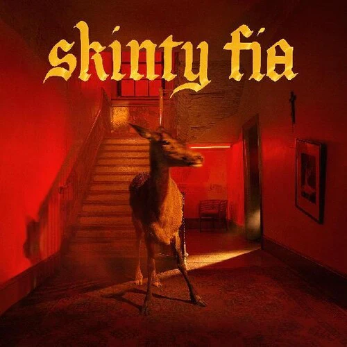 FONTAINES D.C. - SKINTY FIA Vinyl LP