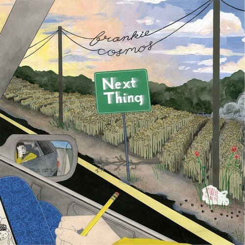 FRANKIE COSMOS - NEXT THING (10 YEAR ANNIVERSARY) Vinyl LP