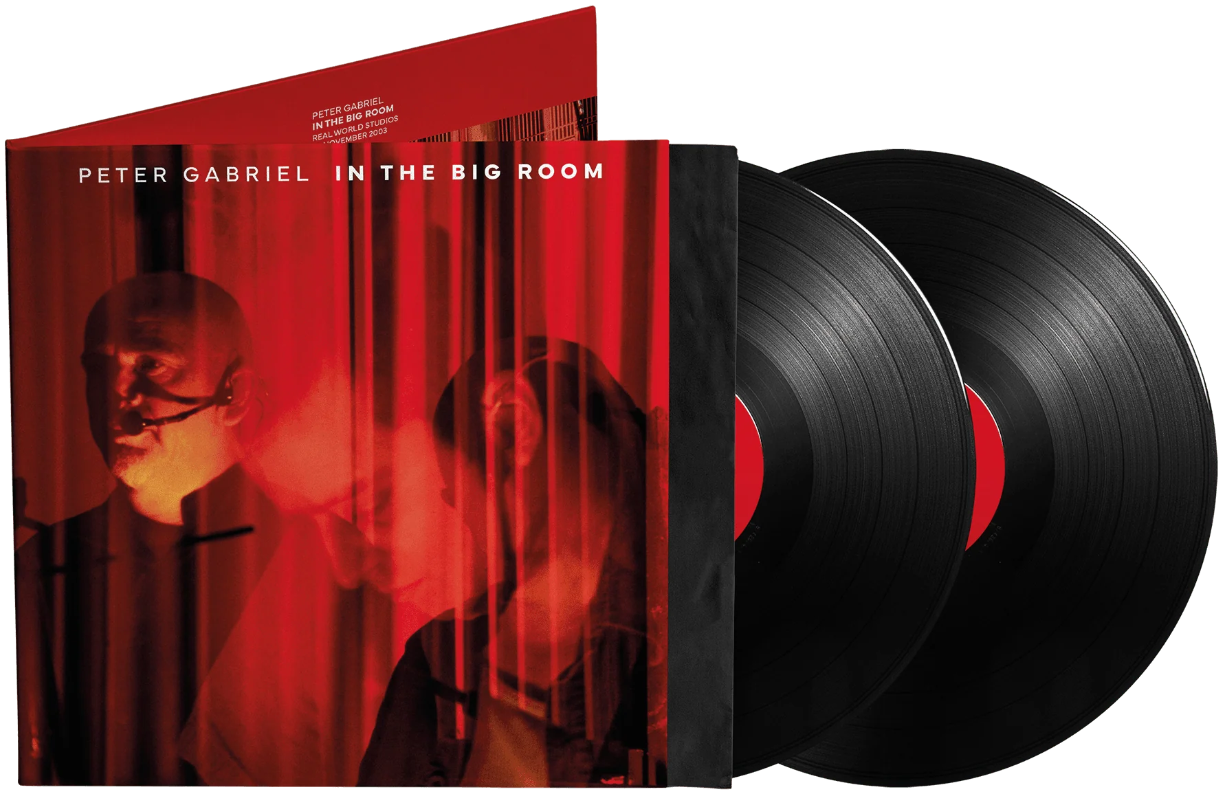 GABRIEL,PETER - IN THE BIG ROOM Vinyl LP