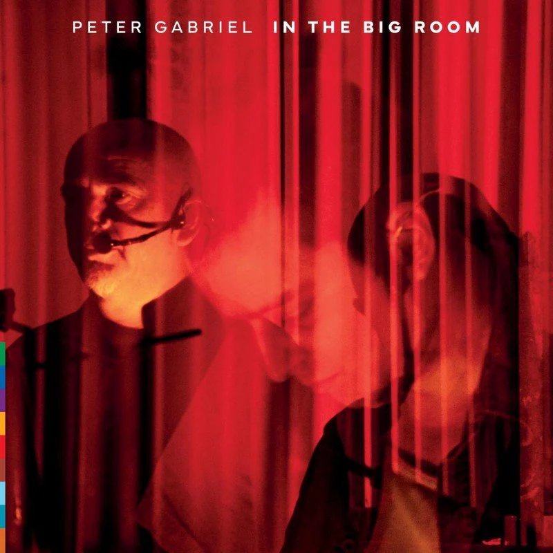 GABRIEL,PETER - IN THE BIG ROOM Vinyl LP - Image 2