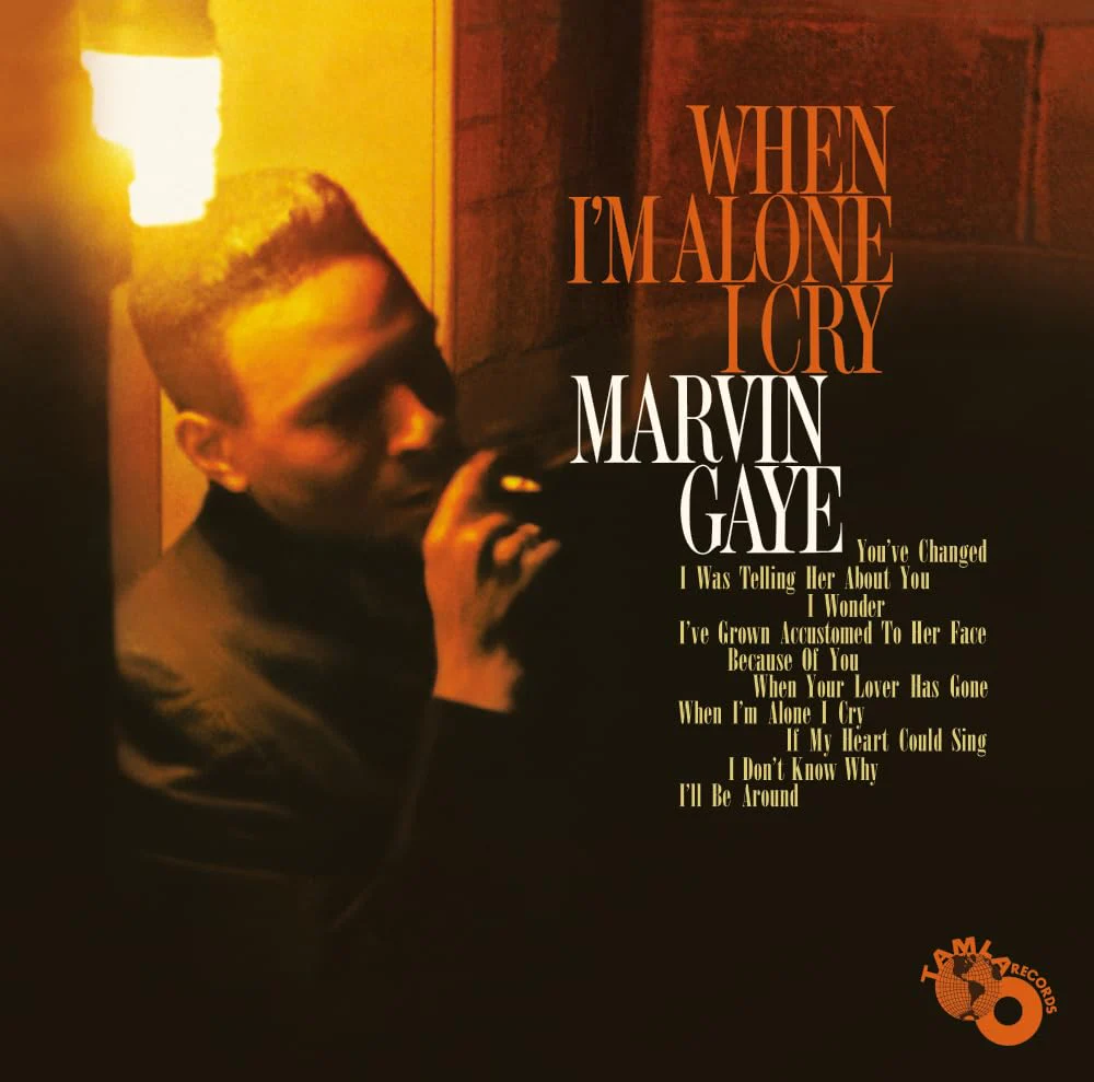 GAYE,MARVIN - WHEN I'M ALONE I CRY (MONO EDITION) Vinyl LP - Image 2