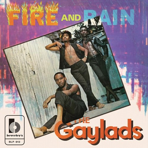 GAYLADS - FIRE AND RAIN Vinyl LP