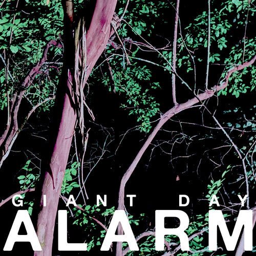 GIANT DAY - ALARM Vinyl LP