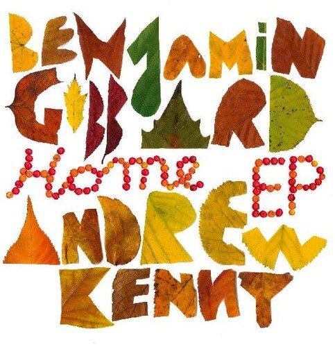 GIBBARD,BENJAMIN / KENNY,ANDREW - HOME Vinyl LP - Image 2