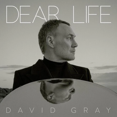 GRAY,DAVID - DEAR LIFE Vinyl LP - Image 2