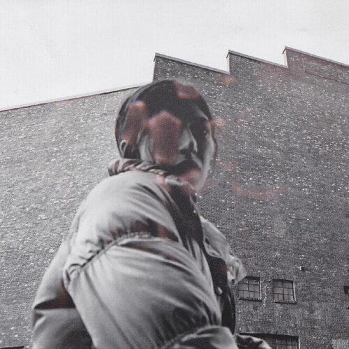 HARDING,ALDOUS - WARM CHRIS Vinyl LP